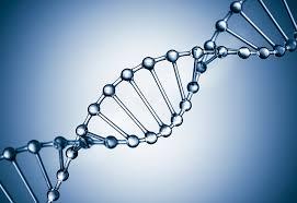 La Unidad de Genética y E-GENETICARE desarrollan un test para estudiar enfermedades recesivas y ligadas a X