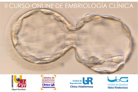 II Curso de Embriología Clínica