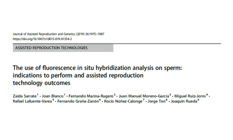 The use of fluorescence in situ hybridization analysis on sperm: indications to perform and assisted reproduction technology outcomes