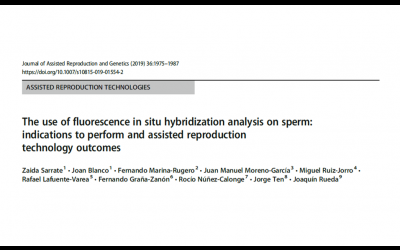 The use of fluorescence in situ hybridization analysis on sperm: indications to perform and assisted reproduction technology outcomes